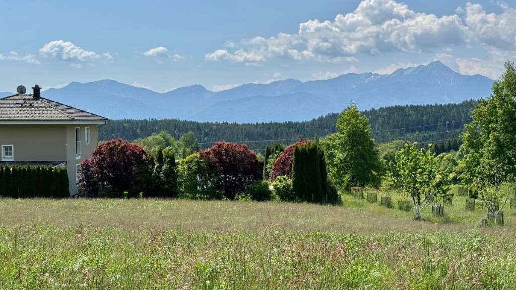 willhaben.at-1.jpg