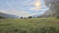 Foto der Immobilie (4770)